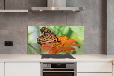 Painel de vidro Flor borboleta colorida