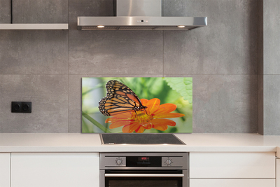 Painel de vidro Flor borboleta colorida