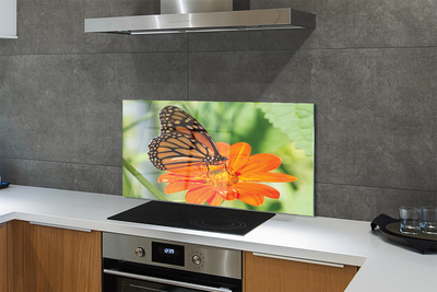 Painel de vidro Flor borboleta colorida