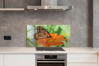 Painel de vidro Flor borboleta colorida