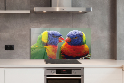Painel de vidro Papagaios coloridos