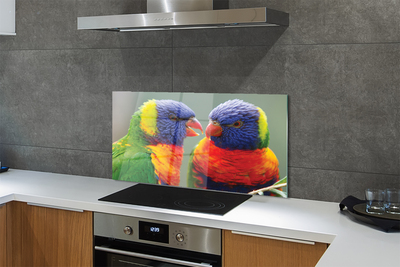 Painel de vidro Papagaios coloridos