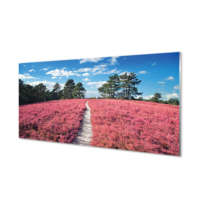 Painel de vidro Campo, urze, floresta