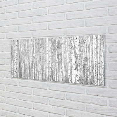 Painel de vidro Árvores florestais em preto e branco