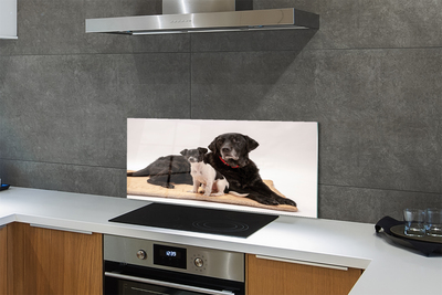 Painel de vidro Cães mentirosos