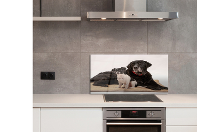 Painel de vidro Cães mentirosos