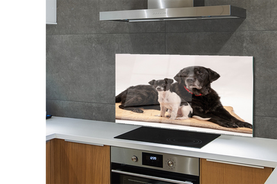 Painel de vidro Cães mentirosos