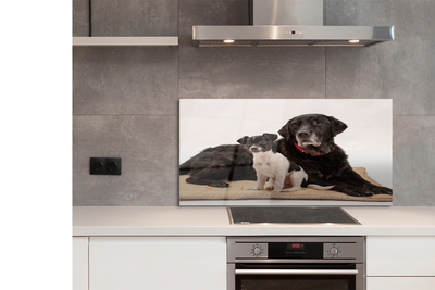 Painel de vidro Cães mentirosos