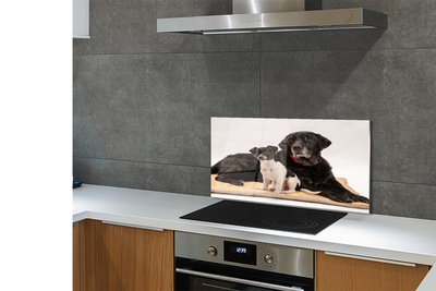 Painel de vidro Cães mentirosos