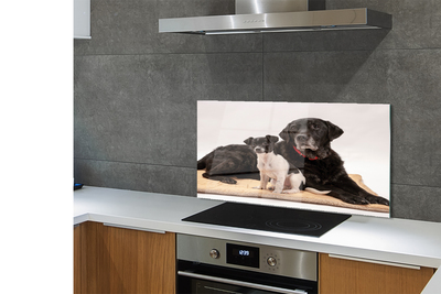 Painel de vidro Cães mentirosos