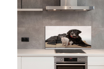 Painel de vidro Cães mentirosos