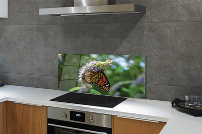 Painel de vidro Flor borboleta colorida