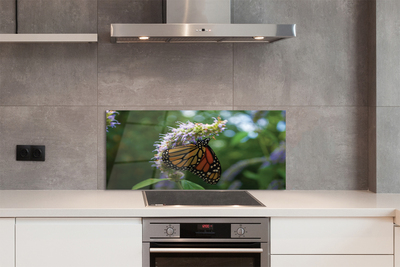 Painel de vidro Flor borboleta colorida