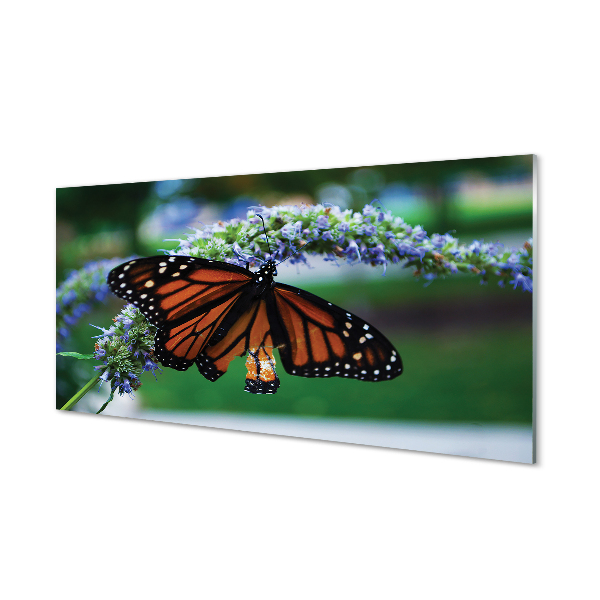 Painel de vidro Borboleta em uma flor
