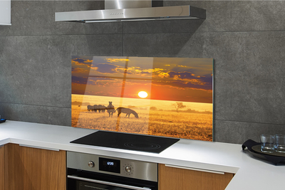 Painel de vidro Nuvens de pôr do sol zebra