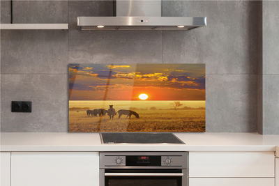 Painel de vidro Nuvens de pôr do sol zebra