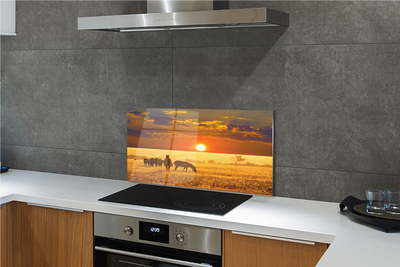 Painel de vidro Nuvens de pôr do sol zebra