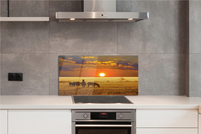 Painel de vidro Nuvens de pôr do sol zebra