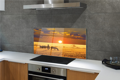 Painel de vidro Nuvens de pôr do sol zebra