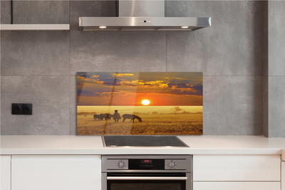 Painel de vidro Nuvens de pôr do sol zebra