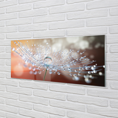 Painel de vidro Macro de gotas de dente-de-leão