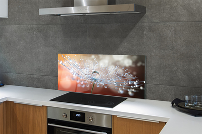 Painel de vidro Macro de gotas de dente-de-leão