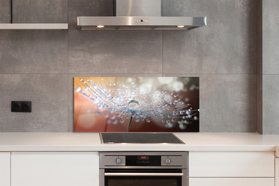 Painel de vidro Macro de gotas de dente-de-leão