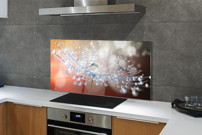 Painel de vidro Macro de gotas de dente-de-leão