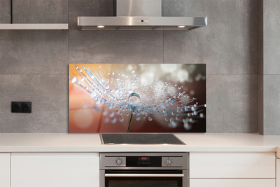 Painel de vidro Macro de gotas de dente-de-leão