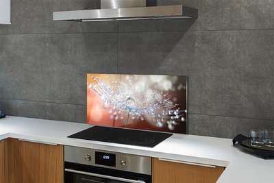 Painel de vidro Macro de gotas de dente-de-leão