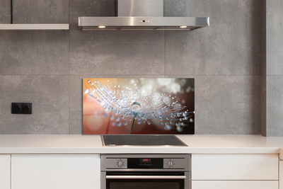 Painel de vidro Macro de gotas de dente-de-leão