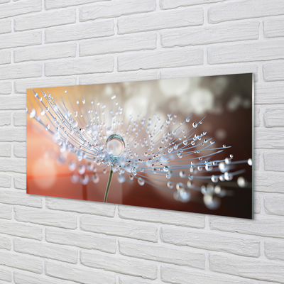 Painel de vidro Macro de gotas de dente-de-leão