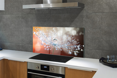 Painel de vidro Macro de gotas de dente-de-leão