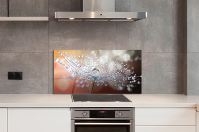 Painel de vidro Macro de gotas de dente-de-leão