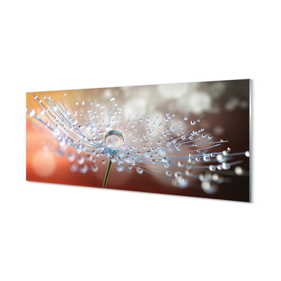 Painel de vidro Macro de gotas de dente-de-leão