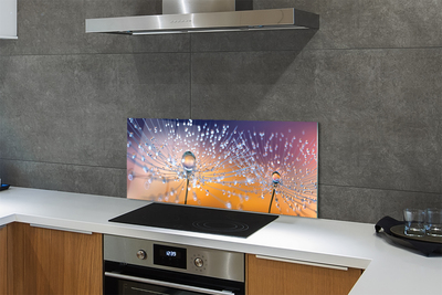 Painel de vidro Macro de gotas de dente-de-leão