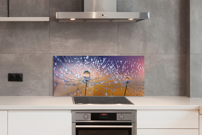 Painel de vidro Macro de gotas de dente-de-leão