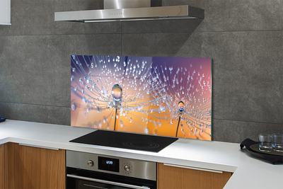 Painel de vidro Macro de gotas de dente-de-leão