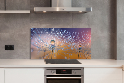 Painel de vidro Macro de gotas de dente-de-leão