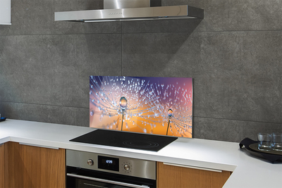 Painel de vidro Macro de gotas de dente-de-leão