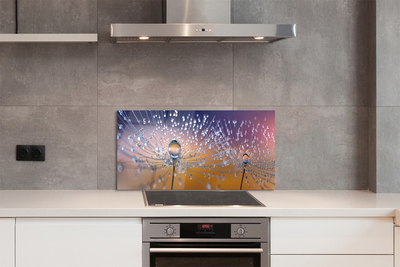 Painel de vidro Macro de gotas de dente-de-leão