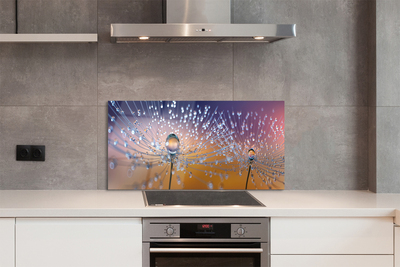 Painel de vidro Macro de gotas de dente-de-leão