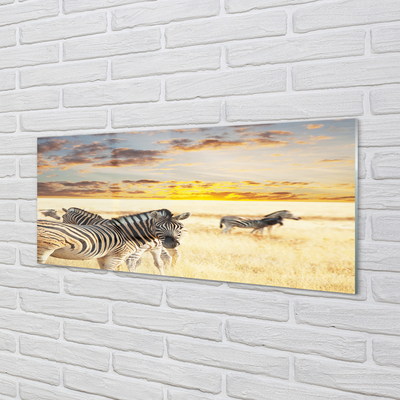 Painel de vidro Pôr do sol no campo de zebras