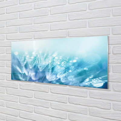 Painel de vidro Resumo de gotas de dente-de-leão