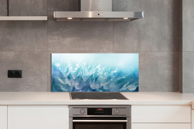 Painel de vidro Resumo de gotas de dente-de-leão