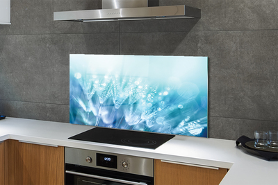 Painel de vidro Resumo de gotas de dente-de-leão