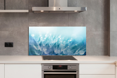 Painel de vidro Resumo de gotas de dente-de-leão