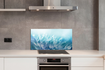 Painel de vidro Resumo de gotas de dente-de-leão