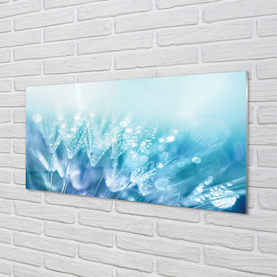 Painel de vidro Resumo de gotas de dente-de-leão