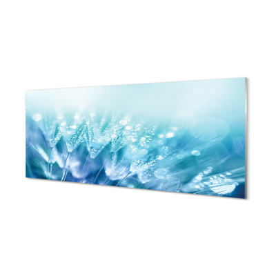 Painel de vidro Resumo de gotas de dente-de-leão